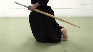 Kendo Basics I Introduction and Sitting in Seiza [upl. by Milman776]