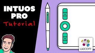 How to Use Wacom INTUOS PRO Small 2019 Model [upl. by Ekralc]