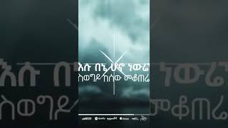 Aster Abebe Vol 2 ሃሌሉያ  Hallelujah  track astereabebenewalbum [upl. by Heurlin]