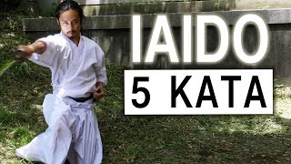 IAIDO demonstration with Japanese sword 5 KATA  Defense Offense Sitting Standing [upl. by Ietta]