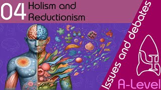 Holism and reductionism  Issues and debates ALevel Psychology [upl. by Adnirb]