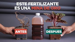 Cómo Revivir Plantas Enfermas El Mejor Fertilizante Casero Orgánico [upl. by Ittocs]