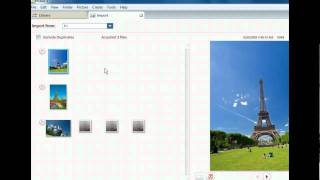 Picasa Training  Import Images into Picasa  Google Tools [upl. by Regan988]