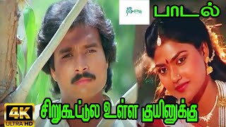 சிறு கூட்டுல உள்ள குயிலுக்கு  Siru koottula ulla kuyilukku  Karthik Nirosha  Melody Song  HD [upl. by Vershen]