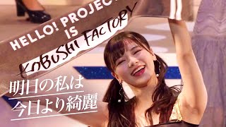 こぶしファクトリー「明日の私は今日より綺麗」Hello Project 2020 Winter [upl. by Annasor]