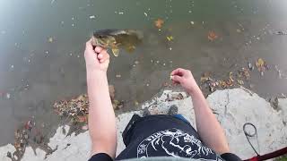 Quick Smallmouth Fishing and Drone Shots [upl. by Littlejohn919]