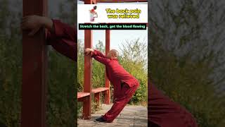 Follow Along Practical Back Stretching Exercises for Tension Relief kungfu traditionalkungfu [upl. by Notac642]