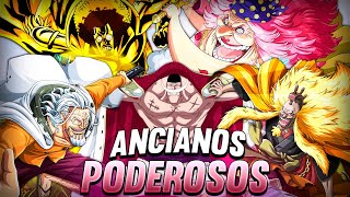 Los 10 VIEJOS más PODEROSOS de TODO ONE PIECE [upl. by Lange]