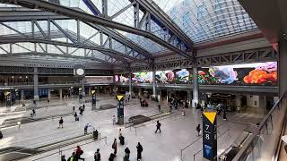 TinampEd at Moynihan Train Hall 09 May 24 ©davidplakkemedianyc2024 [upl. by Galligan]