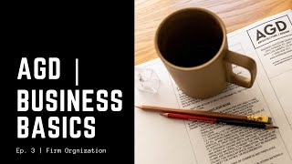 Business Basics  Firm Organization [upl. by Domel]