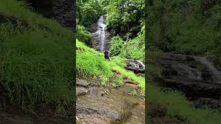 Pallor kotta waterfalls perinthalmanna nature waterfall travel youtubeshorts trendingshorts [upl. by Ellehcyar]