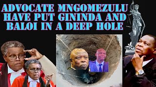 Adv Mngomezulu questions to the car tracker witness have dug 24ft hole for BALOI and Gininda [upl. by Rox]