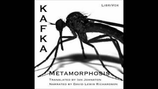 The Metamorphosis by Franz Kafka Free Audio Book in English Language [upl. by Tedie]