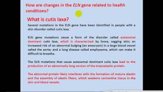 Biochemistry  dr sameeh  Elastin Synthesis amp Diseases [upl. by Nowaj248]