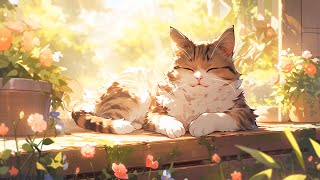 2 Hours Lofi Cat  Relax with my cat ☯ Japanese Lofi Mix ☯ chill lofi music to relaxstudy to [upl. by Backler]