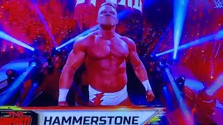 Alex Hammerstone vs Oba Femi 91024 wwenxt orlando wwe Alexâ€™s Entrance [upl. by Aymahs]