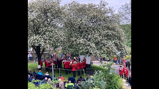 Whit Friday 2024 Dobcross Band Contest FULL playlist 70 bands Running order in description [upl. by Htesil655]