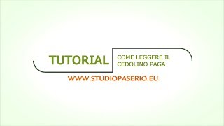 Tutorial  Come Leggere il Cedolino Paga [upl. by Anovad]