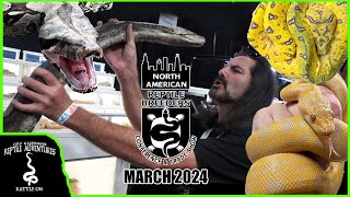 These are the TOP 5 Ball Pythons at Tinley Park October 2022 Reptile Expo [upl. by Mok17]