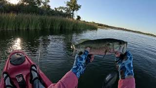 Kayak Fly Fishing Lake Bastrop Texas [upl. by Akino110]