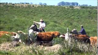 The Gauchos of Uruguay [upl. by Aleafar]