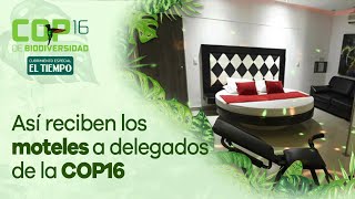 Así reciben los moteles de Cali a los delegados de la COP16 I El Tiempo [upl. by Ahsiem202]