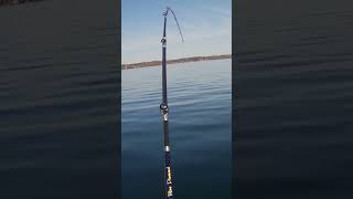 Cayuga Lake Early Season Laker [upl. by Nets793]