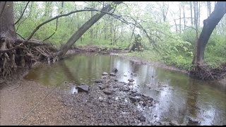 Creek fishing for bluegill sunfish and bream  pole fishing [upl. by Leaj]