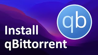 How to install qbittorrent on Windows 11 [upl. by Thordia6]