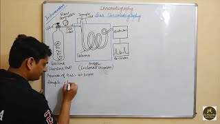 Part 24 Gas Chromatography Instrumentation [upl. by Adolphe934]