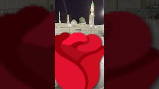 Hara Gumbad Jo Dekhoge Jamana Bhul Jaoge live music viralvideo love madinanaat youtubeshorts [upl. by Anisamoht788]