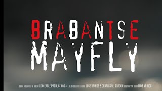 202410 Teaser  korte film Brabantse Mayfly by Luke Vrinds  Premiere december 2024 DUTCH [upl. by Whall]