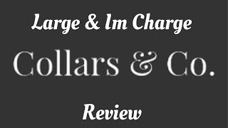 Large amp In Charge Collars and Co Review [upl. by Bushey518]