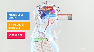 Vielight Neuro Duo  X Plus BrainSystemic Photobiomodulation System [upl. by Glynis863]