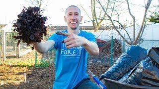 How to make EZ Leaf Compost and Leaf Mold to SUPERCHARGE your Garden [upl. by Leuqer]