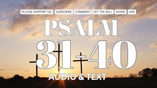 Psalm Narratives Heartfelt Wisdom Tranquil Psalms Listen amp Reflect Divine Psalms Audio [upl. by Euqinahc763]