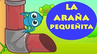 🎶 INCY WINCY ARAÑA PEQUEÑITA 🎶 Itsy Bitsy Spider Español  Canciones Infantiles  Dibujos en Español [upl. by Acinahs]