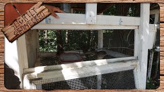 Quail Keeping For Beginners All You Need to Know to Get Started With Coturnix Quail [upl. by Philipp958]