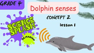 ساينس رابعه ابتدائي Dolphin sensesConcept2lesson1 [upl. by Ricky140]