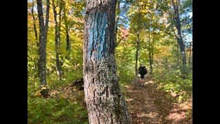 Superior Hiking Trail  September 2024  Days 5  6 [upl. by Lexis708]