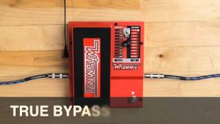 DigiTech Whammy Demo Video with Jonni Lightfoot [upl. by Dibbell249]