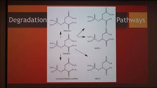 Malathion used against ectoparasites [upl. by Albin]