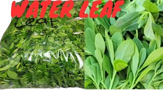 How To Store Preserve Waterleaf for long [upl. by Hogan]