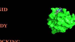 Proteinoligosaccharide HADDOCKing [upl. by An]