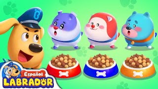 🔍Sheriff Labrador  Adopción de Mascotas 🐹  Videos para Niños  BabyBus en Español [upl. by Benedic944]