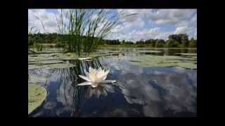 Claude Debussy  Reflets dans leau  Reflections in the Water [upl. by Ardnaed390]