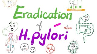 Eradication of Helicobacter Pylori Bacteria 🦠  The Triple Regimen amp The Quadruple Regimen [upl. by Anal]