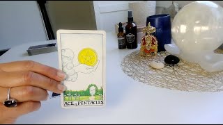 WINDFALL💰Daily Tarot Reading [upl. by Constantina]