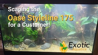 Scaping the Oase Styleline 175 for a Customer  ExoticAquaticanl [upl. by Ahsyia]