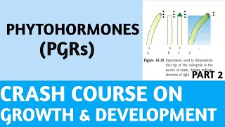 PhytohormonesPGRsClass 11NCERTPart 2Plant HormonesCrash CourseNEETAIIMSJIPMER [upl. by Lancelle]